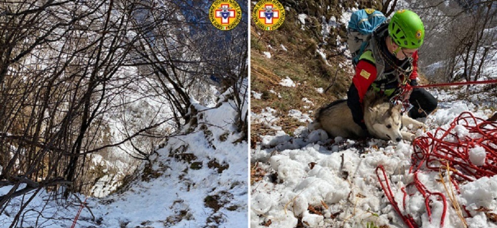 E' stato salvato il cane Pascal, era caduto da un salto di roccia per 10 metri